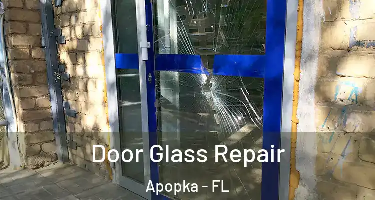 Door Glass Repair Apopka - FL