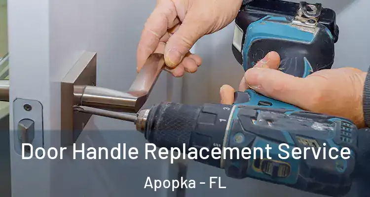  Door Handle Replacement Service Apopka - FL