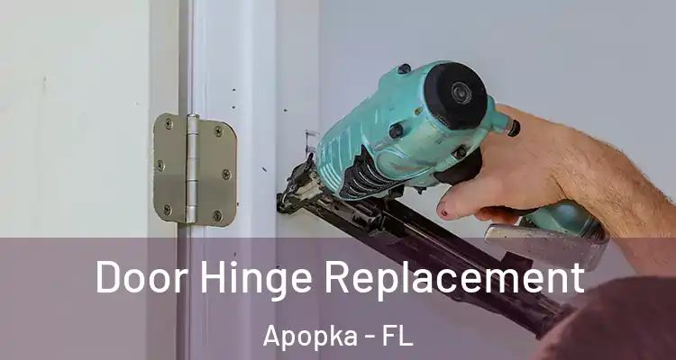  Door Hinge Replacement Apopka - FL