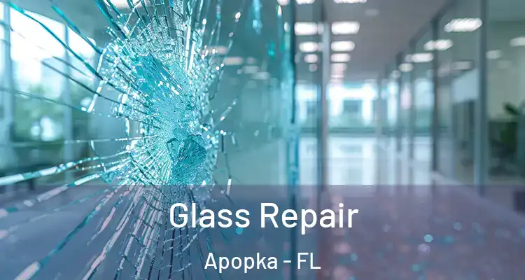  Glass Repair Apopka - FL
