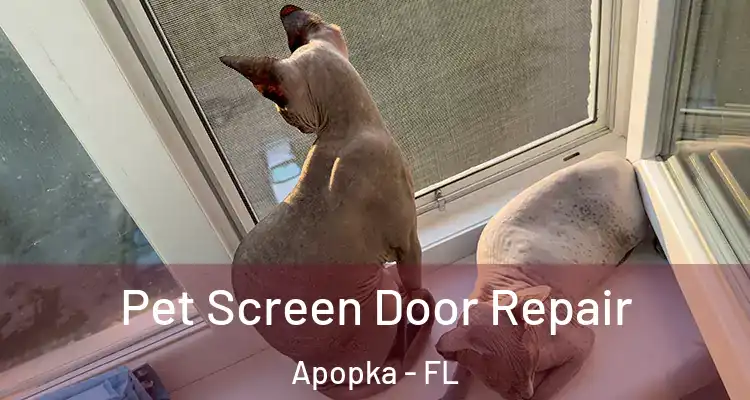  Pet Screen Door Repair Apopka - FL