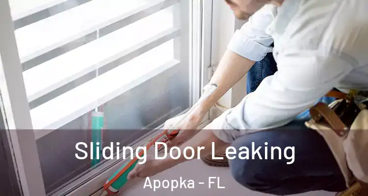  Sliding Door Leaking Apopka - FL