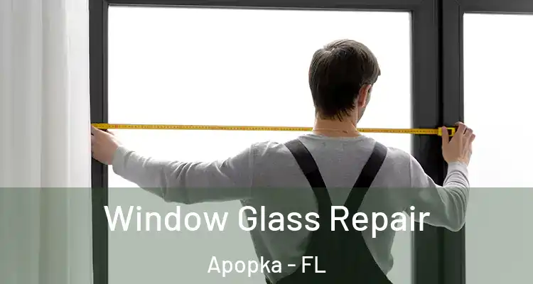  Window Glass Repair Apopka - FL