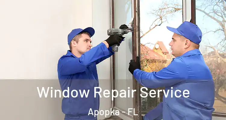  Window Repair Service Apopka - FL